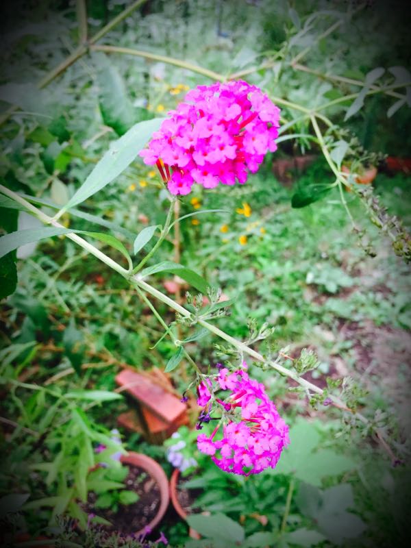 rblog-20150914222551-01.jpg
