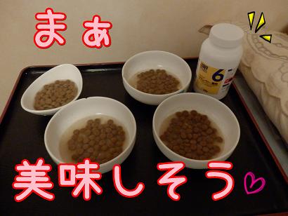 ごはん.JPG