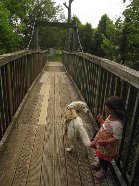 五本松公園 コレクション ペット