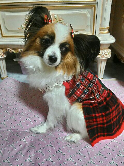 rblog-20160201210900-02.jpg