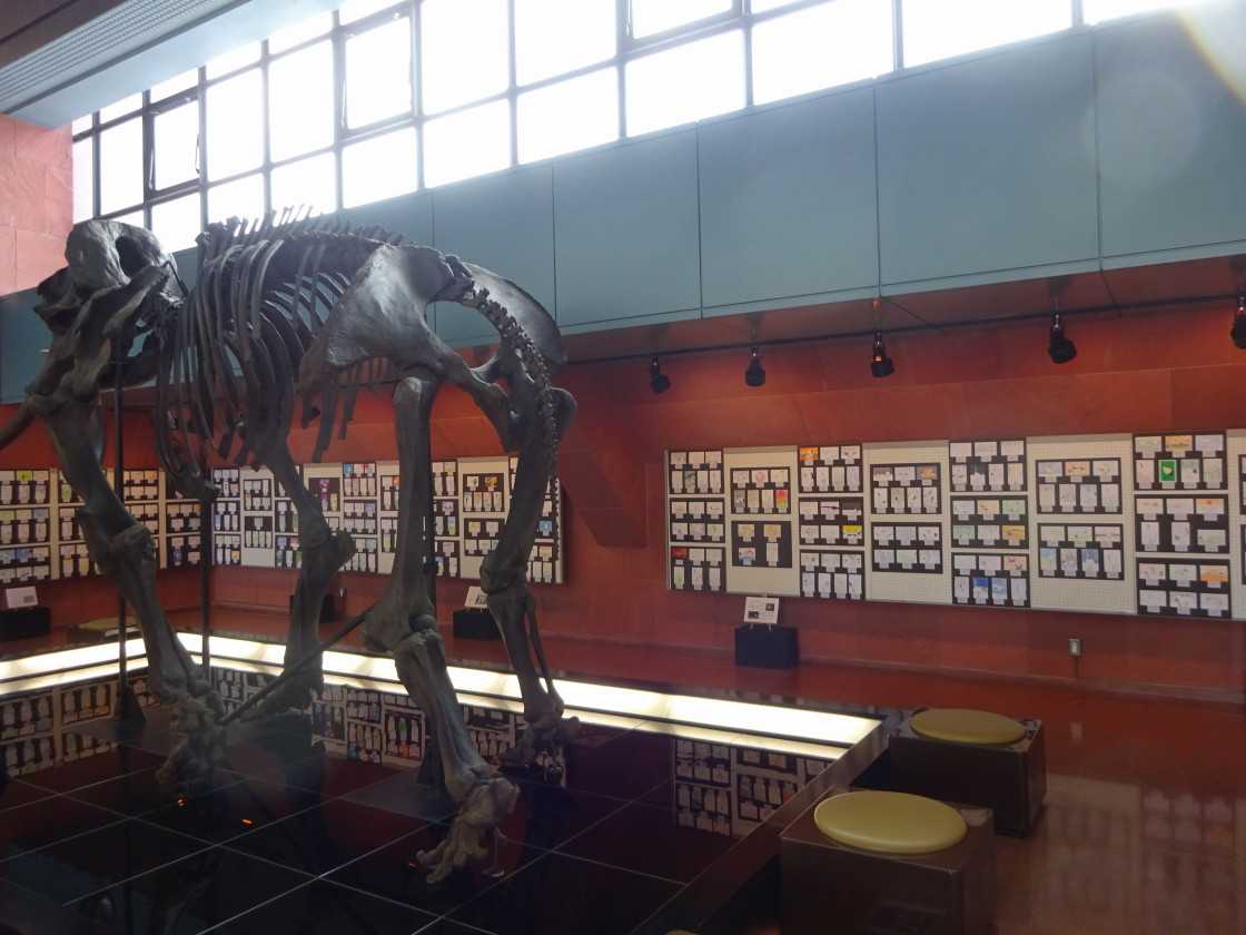 吹雪きとタンチョウ 亮さんの釧路b級ｸﾞﾙﾒ日記 特に蕎麦 楽天ブログ