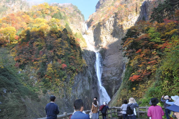 称名滝　紅葉