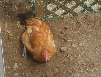 2013/03/28(1)