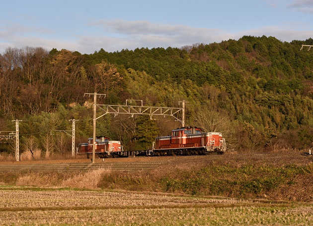 DD51-1191 試9971レ PP1183 D810 1.jpg