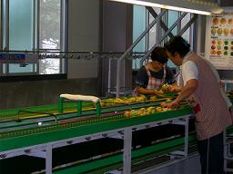 DSCN5844-w256.jpg