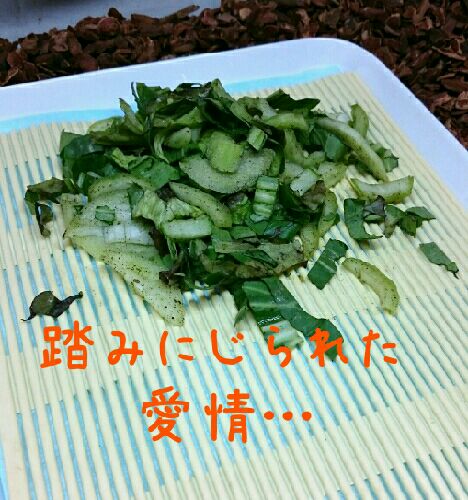 rblog-20151003163747-01.jpg
