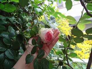 DSC00827.jpg