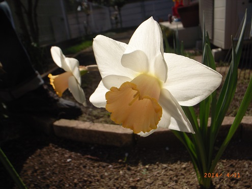 04