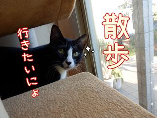 八散歩２.JPG