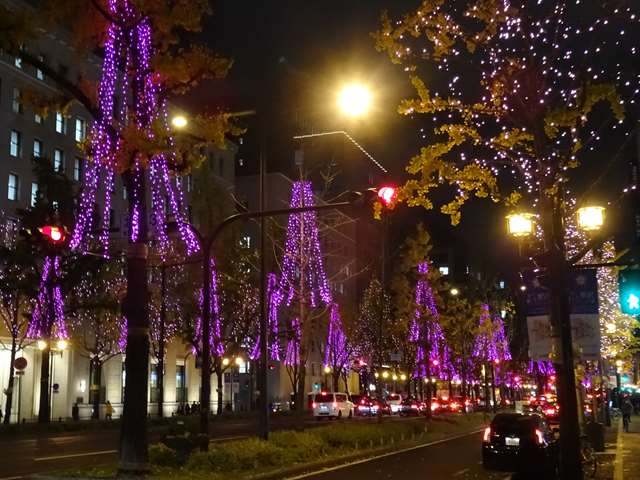 DSC09000_R.JPG