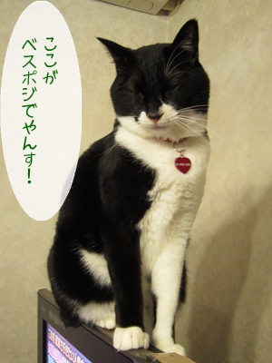 20130208105404_w_300_h_400_1699925.jpg