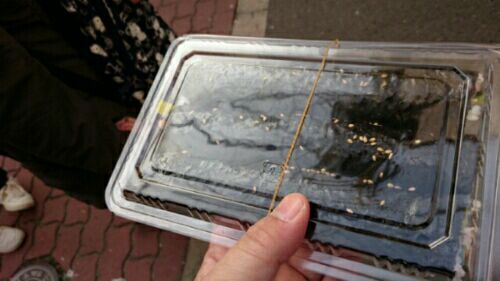 rblog-20180121195002-04.jpg