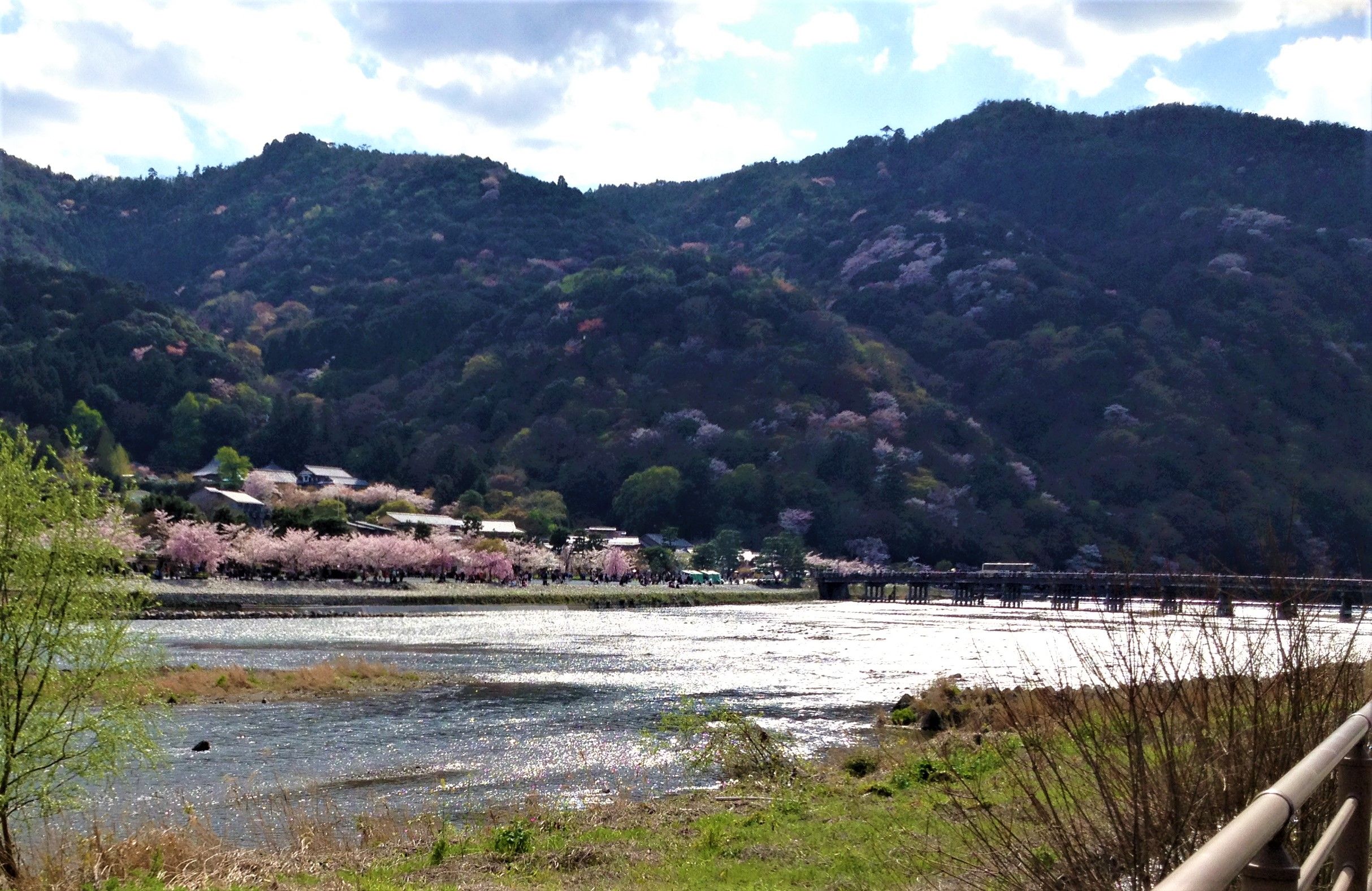 花ゆう膳四日市本店(三重県四日市市)のコメント一覧(1ページ)【ホームメイト・リサーチ - クックドア】