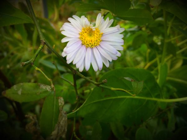 rblog-20151025172217-04.jpg