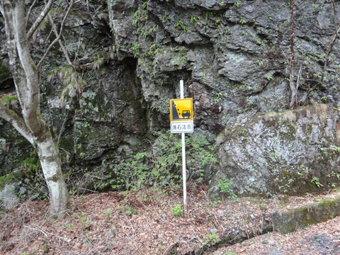 DSC00589.JPG