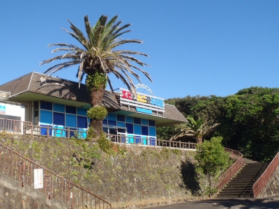 串本磯採集2012年8月上旬51　すさみ海立エビとカニの水族館