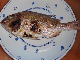 魚４.JPG