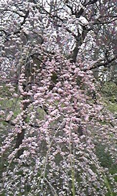 150318_155139.jpg
