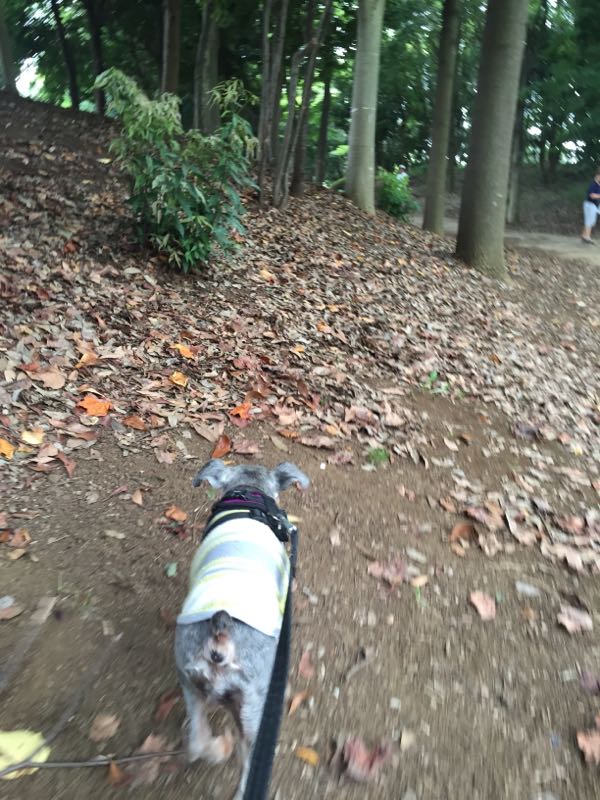 rblog-20150906210221-03.jpg