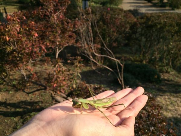 rblog-20181128013452-05.jpg
