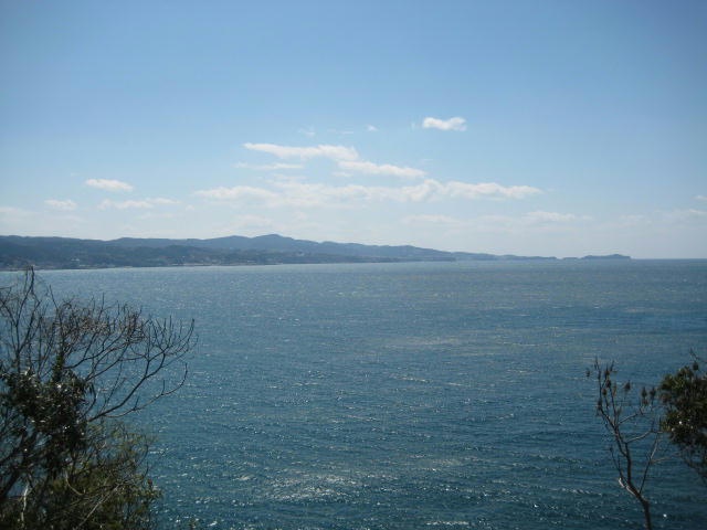 IMG_7934.JPG
