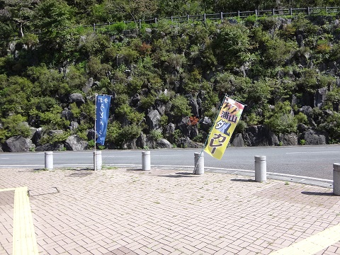 DSC09954.JPG