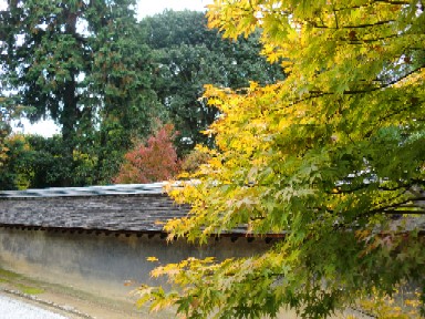 龍安寺　2012秋３.jpg