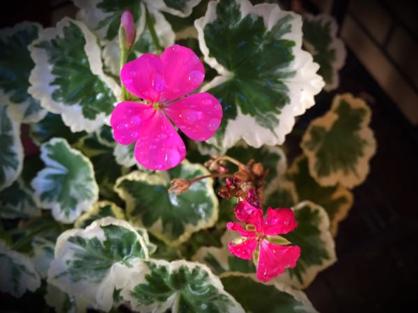 rblog-20151229111247-00.jpg