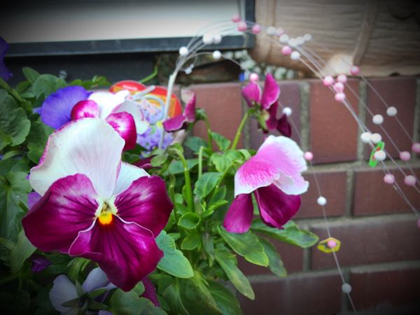 rblog-20161231164110-02.jpg
