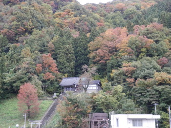 紅葉の中に立つ神社　11・11