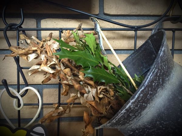 rblog-20160201160921-04.jpg