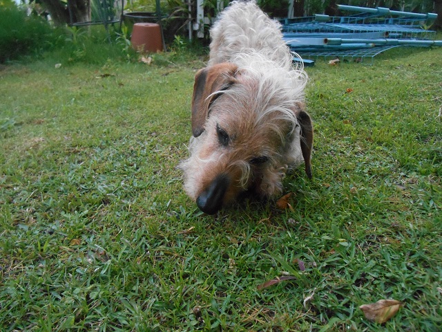 DSCN1906.JPG