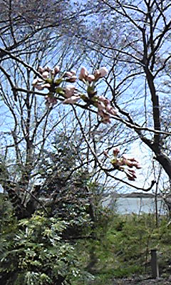 150404_121531.jpg