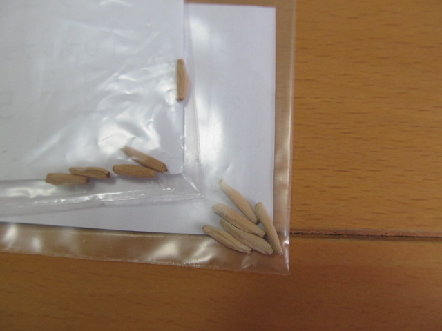 jur03 003.JPG