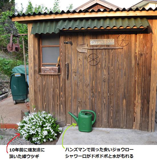 夕日のオッサン小屋.jpg