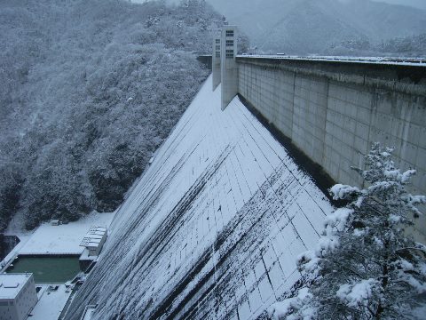R1020065.JPG
