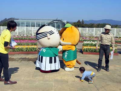 hamamatsu_11.jpg