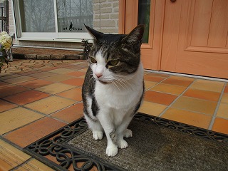 IMG_8649ss.jpg