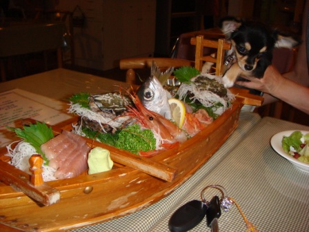 DSC00064.JPG