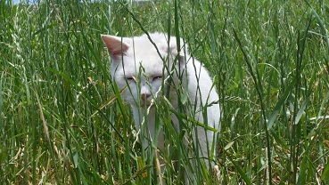 20160601_123232.jpg
