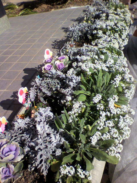 2012121913000000.jpg