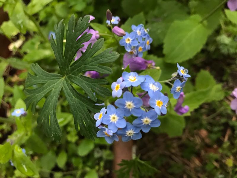 rblog-20190419194050-04.jpg