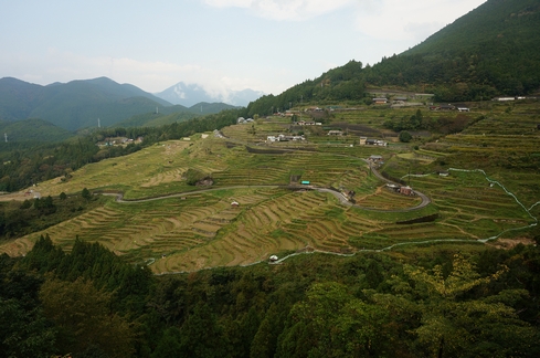 DSC01705.JPG