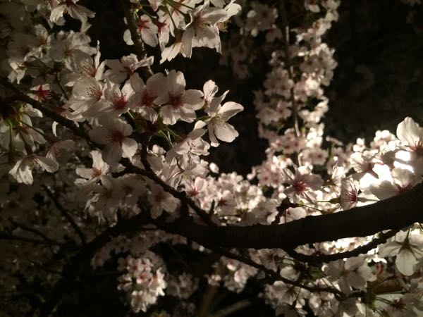rblog-20150404231817-01.jpg