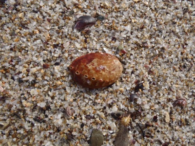 2012年4月白浜旅行9　白良浜