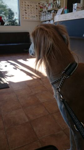 rblog-20150113135013-01.jpg