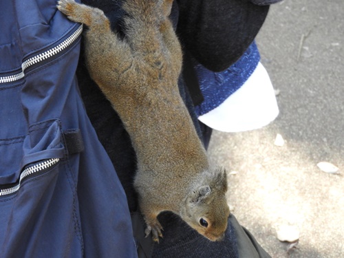 井の頭自然文化園