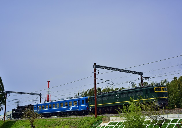 DSC_8159.JPG