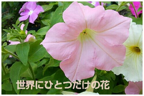 rblog-20160630063049-00.jpg