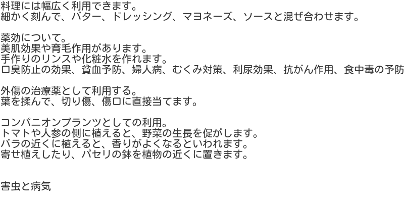 Petroselinum7